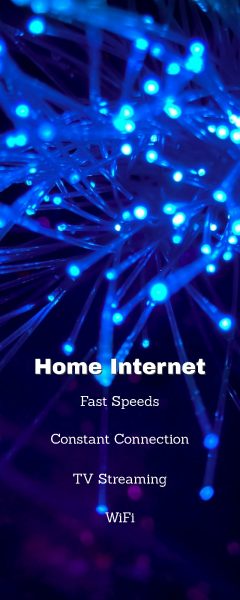 Home Internet Infographic